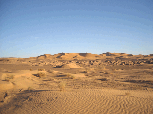 desert